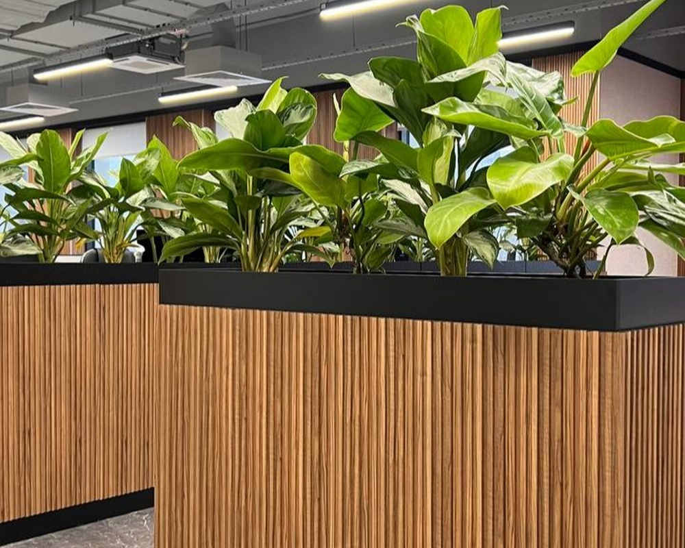 Панель МДФ ACUPAN 61.08.122501.95 трапеция 12х122х2760 мм Эльм натуральный