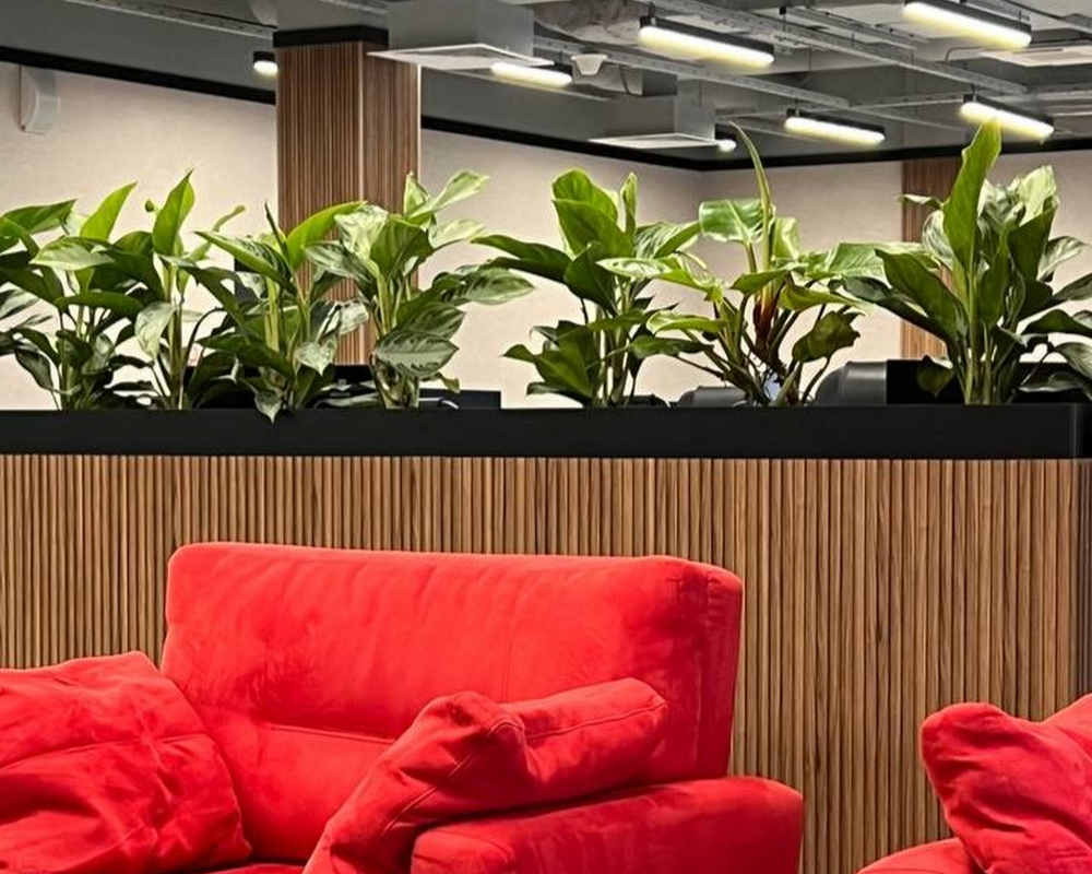 Панель МДФ ACUPAN 61.08.122501.95 трапеция 12х122х2760 мм Эльм натуральный