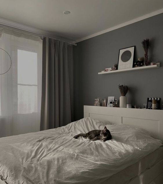 Карниз потолочный из полистирола высокой плотности NMC WT9 50*40*2000. Окраска включена в стоимость